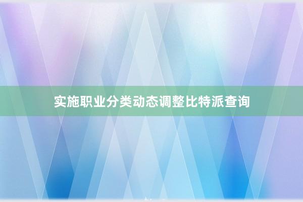 实施职业分类动态调整比特派查询