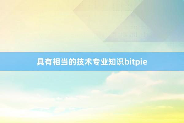 具有相当的技术专业知识bitpie