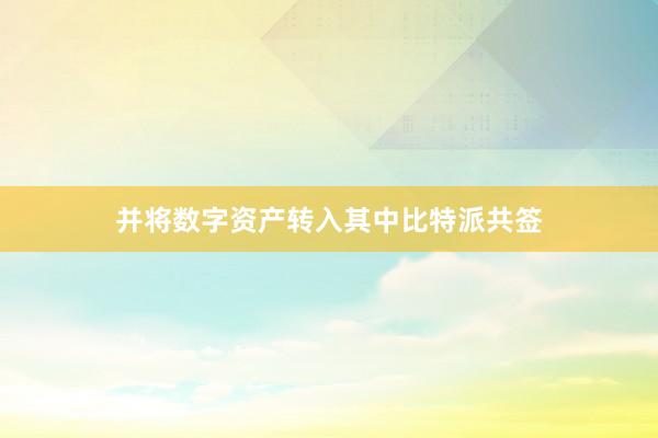 并将数字资产转入其中比特派共签