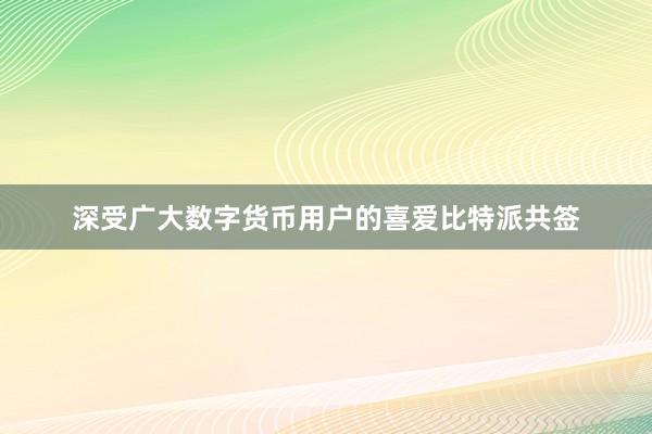 深受广大数字货币用户的喜爱比特派共签