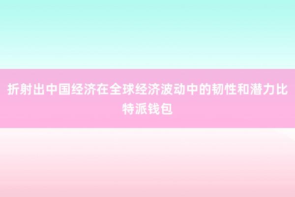 折射出中国经济在全球经济波动中的韧性和潜力比特派钱包