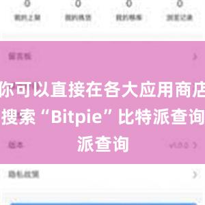 你可以直接在各大应用商店搜索“Bitpie”比特派查询